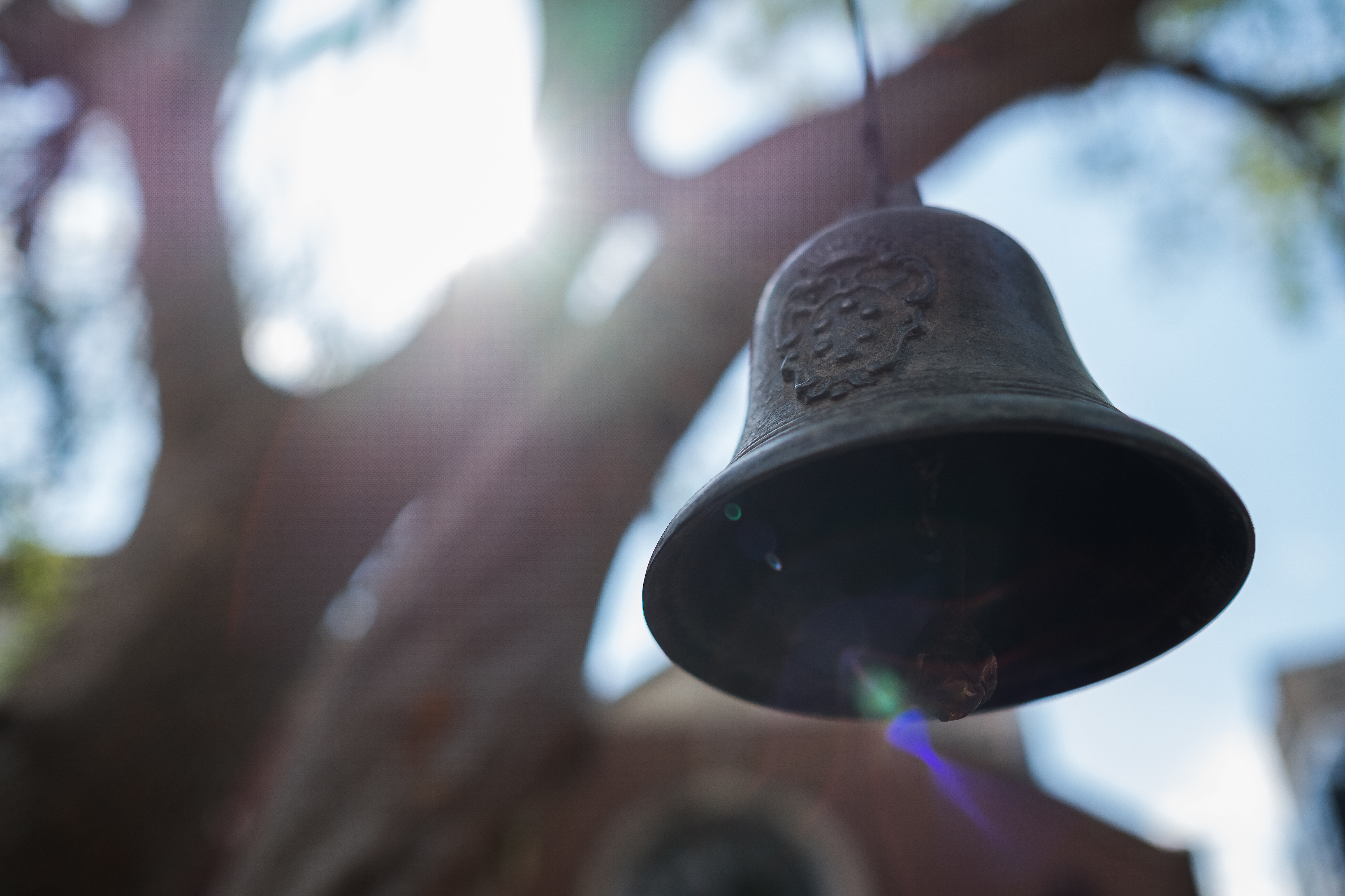 Bell hung from a tree